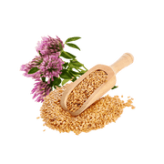 Ingredient 2